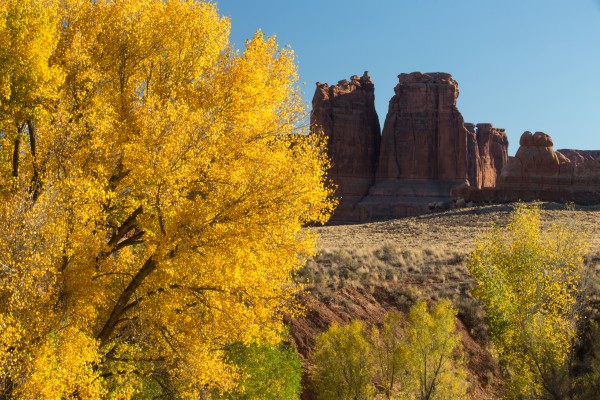 Fall at Courthouse Wash by John Foster